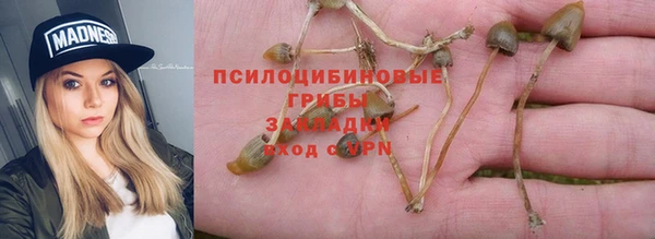 соль ск Краснослободск