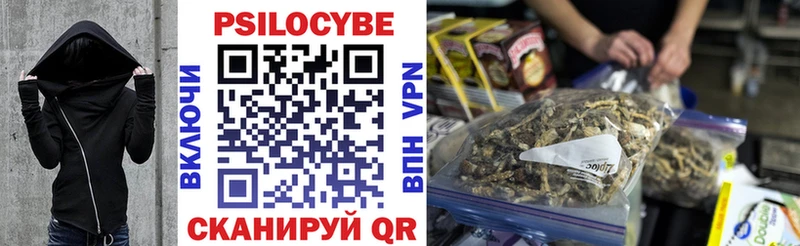 Галлюциногенные грибы Psilocybe  Купить  Раменское 